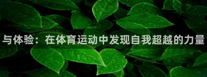 vsport体育官网下载平台假的吗是真的吗