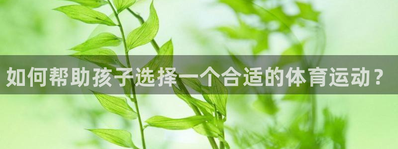 vsport体育官网下载