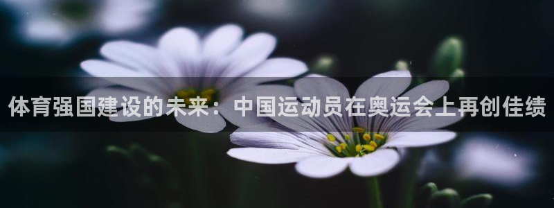 vsport体育官方正版app娱乐网站：体育强国建设的未来：