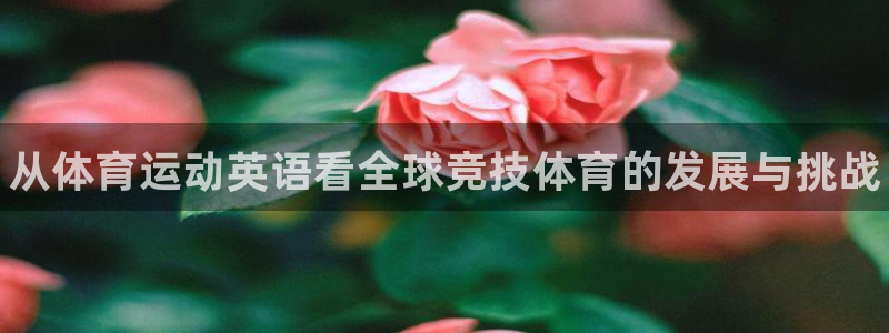海南vsport体育官网下载