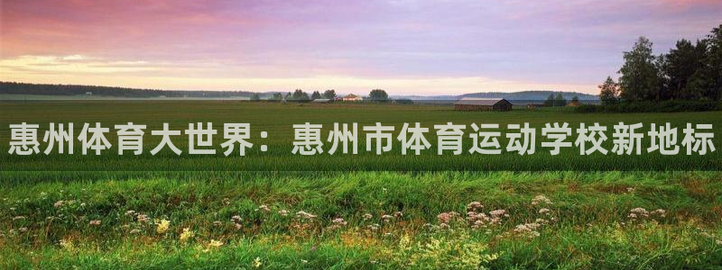 vsport体育官方正版app娱乐首页网站大全