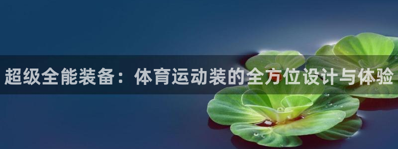 vsport体育官网下载平台假的吗是真的吗吗：超级全能装备：