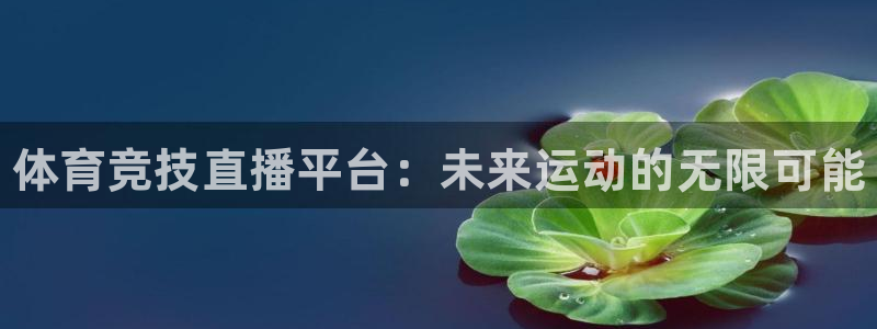 vsport体育官方正版app代理