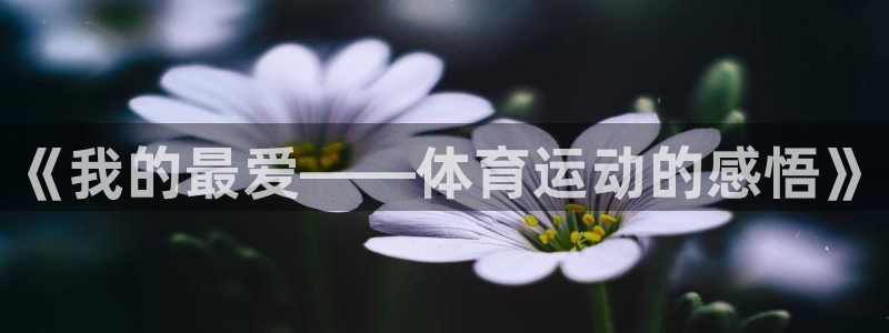 vsport体育官网下载平台假的吗是真的吗吗