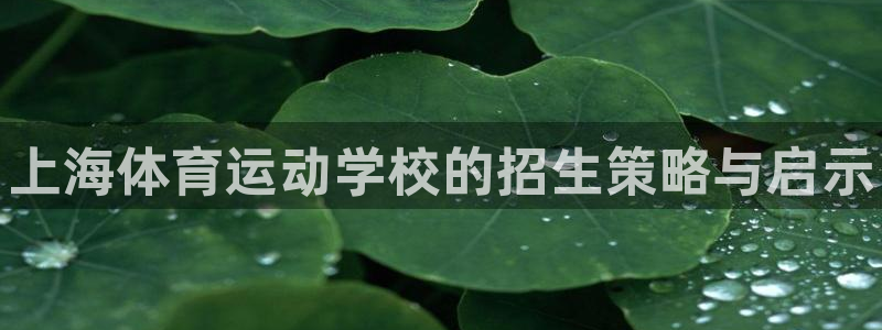 vsport体育官网下载招商电话号码查询：上海体育运动学校的