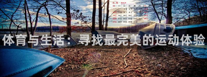 vsport体育官网下载开户：体育与生活：寻找最完美的运动体