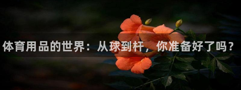 vsport体育官网下载软件