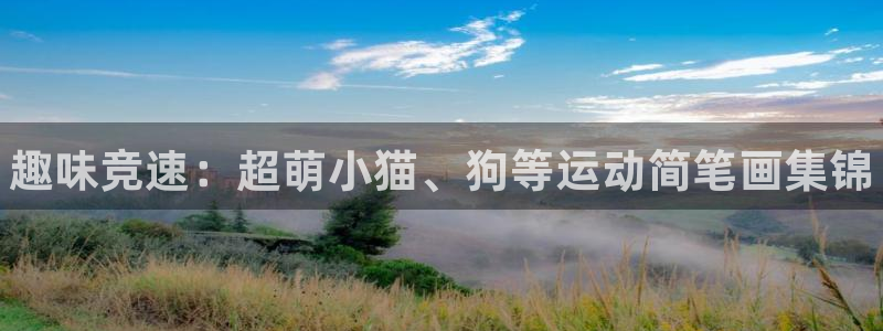 vsport体育官网下载招商