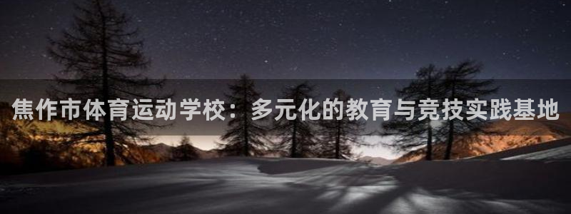 vsport体育官方集团官网：焦作市体育运动学校：多元化的教