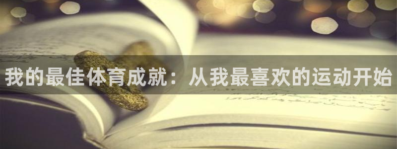 vsport体育官方正版app新能源：我的最佳体育成