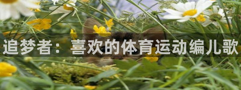 vsport体育官方正版app科技：追梦者：喜欢的体