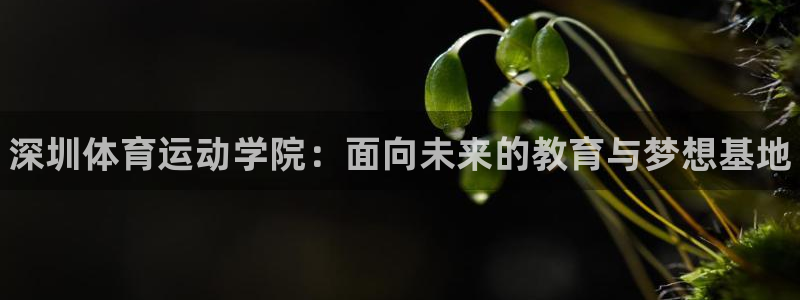 vsport体育官方正版app娱乐40996：深圳体