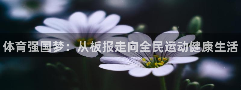 vsport体育官方正版app娱乐首页官网下载：体育强国梦：