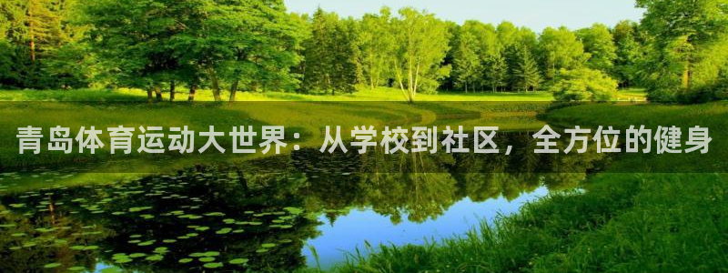 vsport体育官方正版app集团
