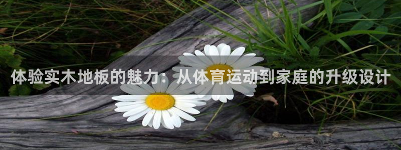 vsport体育官方正版app代理