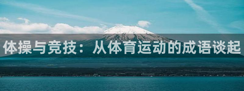 vsport体育官方正版app集团logo