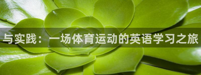 vsport体育官方正版app科技