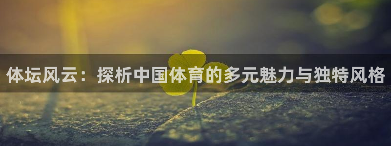 vsport体育官网下载招商电话地址查询