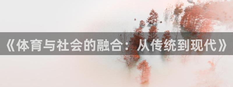 vsport体育官方正版app娱乐网站