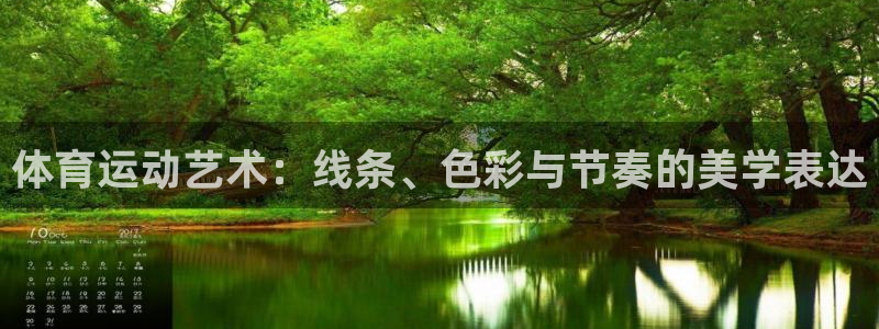 海南vsport体育官网下载：体育运动艺术：线条、色彩与节奏