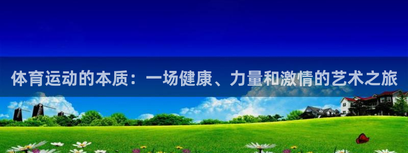 vsport体育官网下载是干嘛的公司
