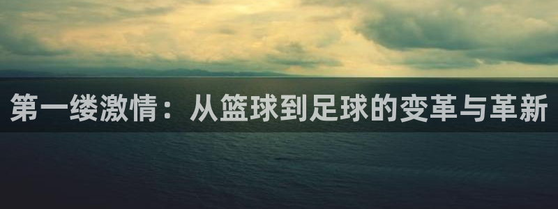 vsport体育官网下载平台是正规平台吗