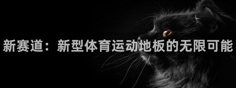 德国vsport体育官方正版app集团：新赛道：新型体育运动