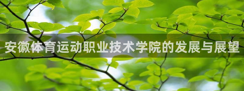 vsport体育官方正版app新能源