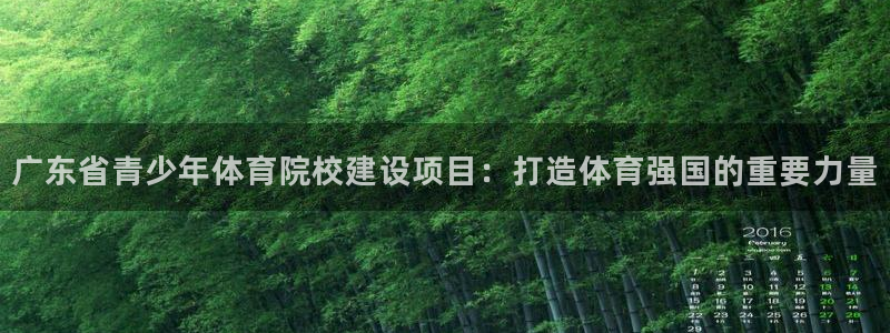 vsport体育官网下载平台注册流程视频：广东省青少年体育院