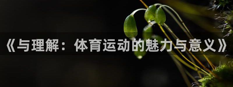 海南vsport体育官网下载发展怎么样：《与理解：体育运动的