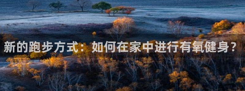 vsport体育官网下载招商电话