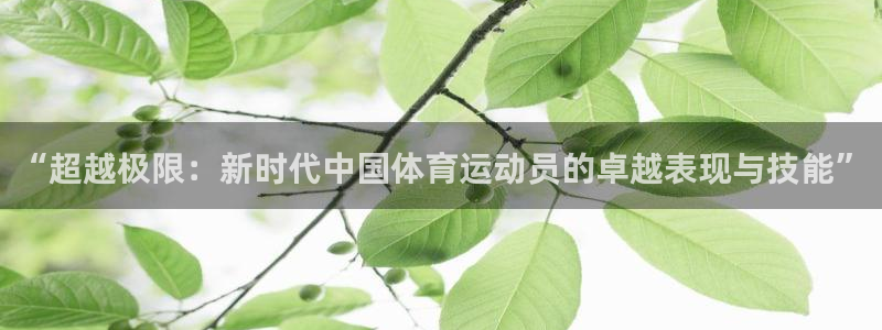 vsport体育官网下载招商电话号码是多少啊：“超越极限：新