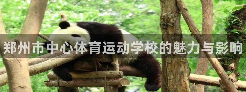 vsport体育官网下载招商电话是多少号码