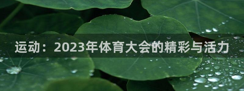 vsport体育官网下载招商电话地址：运动：2023