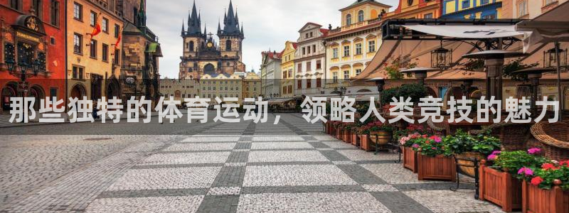 vsport体育官方正版app集团E.ON