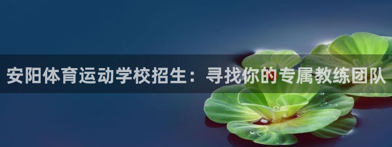 vsport体育官网下载平台注册：安阳体育运动学校招