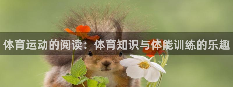 vsport体育官网下载平台注册：体育运动的阅读：体