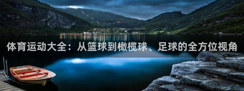 vsport体育官网下载软件:体育运动大全:从篮球到橄榄球、