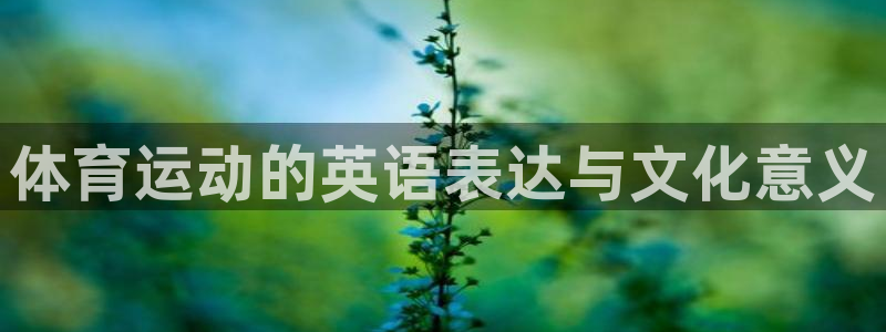 vsport体育官网下载注册:体育运动的英语表达与文化意义