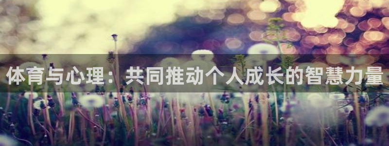 海南vsport体育官网下载