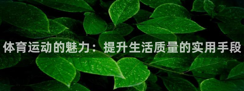vsport体育官网下载招商电话号码是多少:体育运动的魅力: