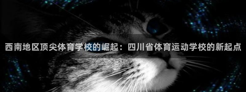 vsport体育官方集团官网:西南地区顶尖体育学校的崛起:四