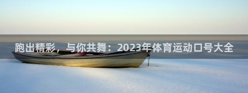 vsport体育官网下载是干嘛的公司:跑出精彩,与你共舞:2