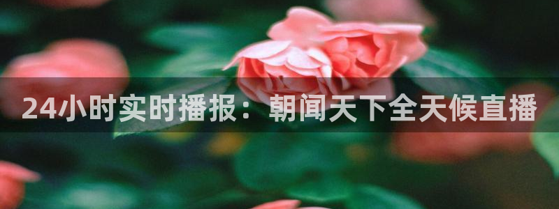 山猫直播免费篮球：24小时实时播报：朝闻天下全天候直播