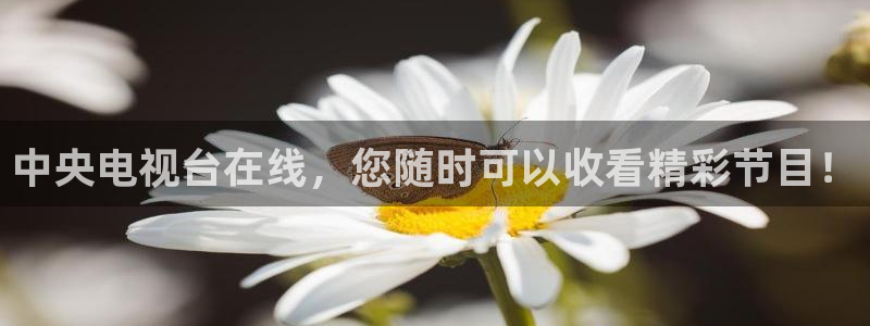 山猫卫星直播体育：中央电视台在线，您随时可以收看精彩节目！