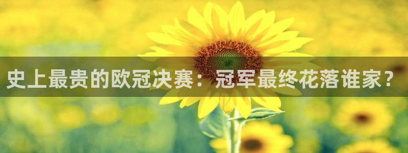 山猫体育赛事直播：史上最贵的欧冠决赛：冠军最终花落谁家？