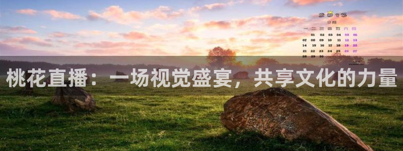 山猫足球免费直播在线观看：桃花直播：一场视觉盛宴，共享文化的力量