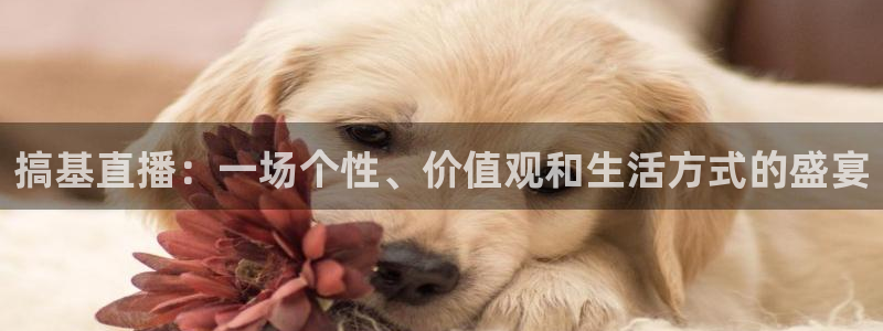 山猫免费体育直播：搞基直播：一场个性、价值观和生活方式的盛宴